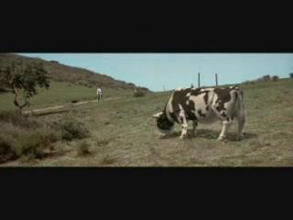 Cow(MatrixReloaded)