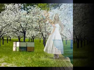 THE COTTON BRIDE  by CHRIS KOLE