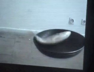 Les vidéastes de l'école d'art de Cambrai s'éclatent