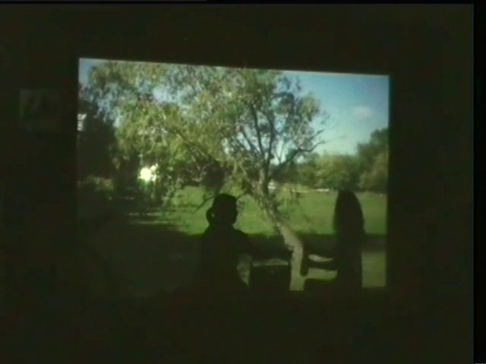 LA POMME : le pic nique