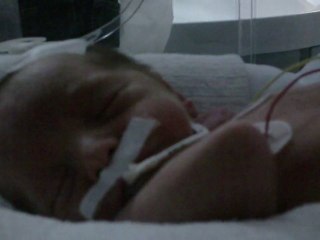 mon loulou (8)