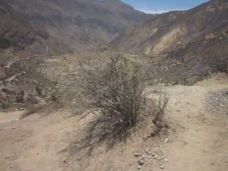 Rando dans le Canyon de Colca
