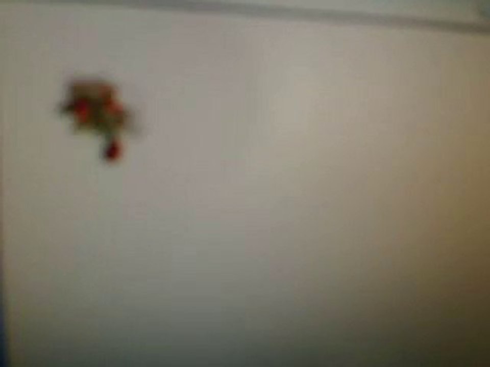 webcam_1291370799093