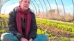 Patty McPhillips Organic Farmer - 