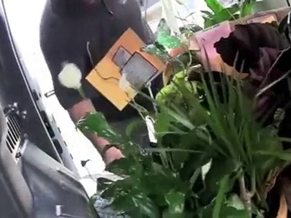 Ford Transit Connect - Virtual Tour - Helping Small Businesses