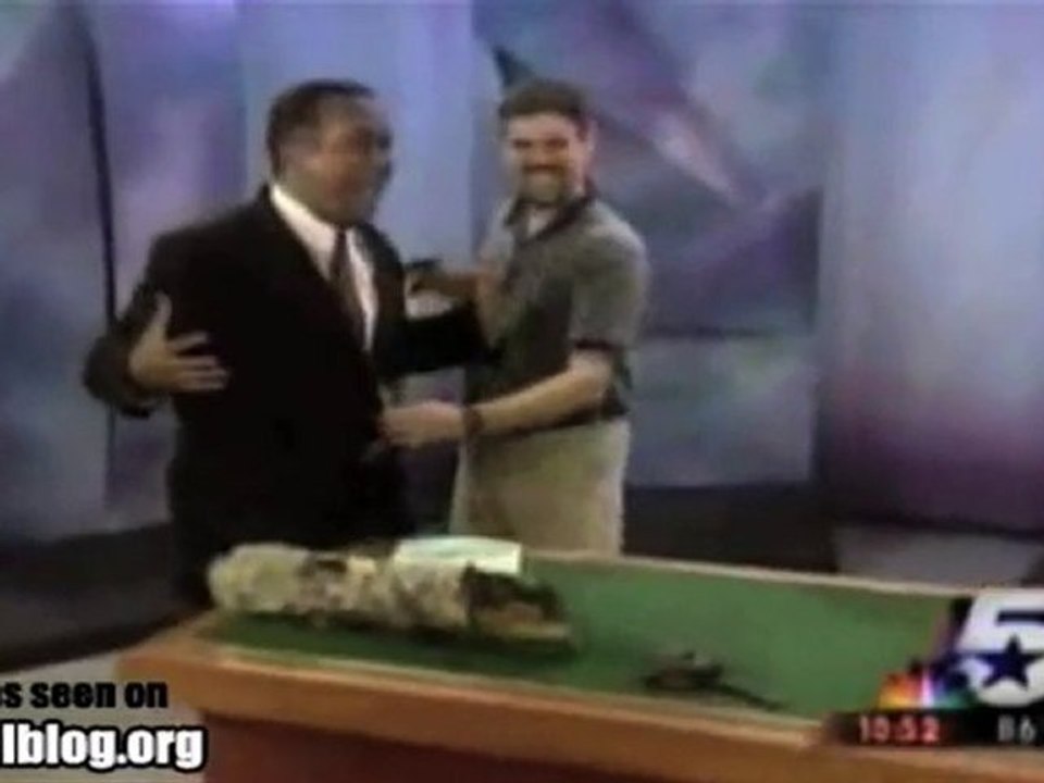 Kertenkele Ziplayinca Aklini Kaybeden Adam :)