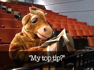 Ben&Jerry's - UK's Best Panto Cow 2010 - Daisy