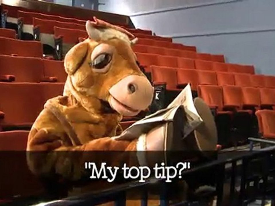 Ben&Jerry's - UK's Best Panto Cow 2010 - Daisy