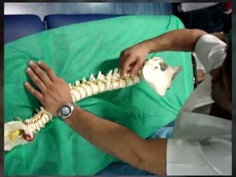 Osteopatía: Cursos, Seminarios y Postgrados