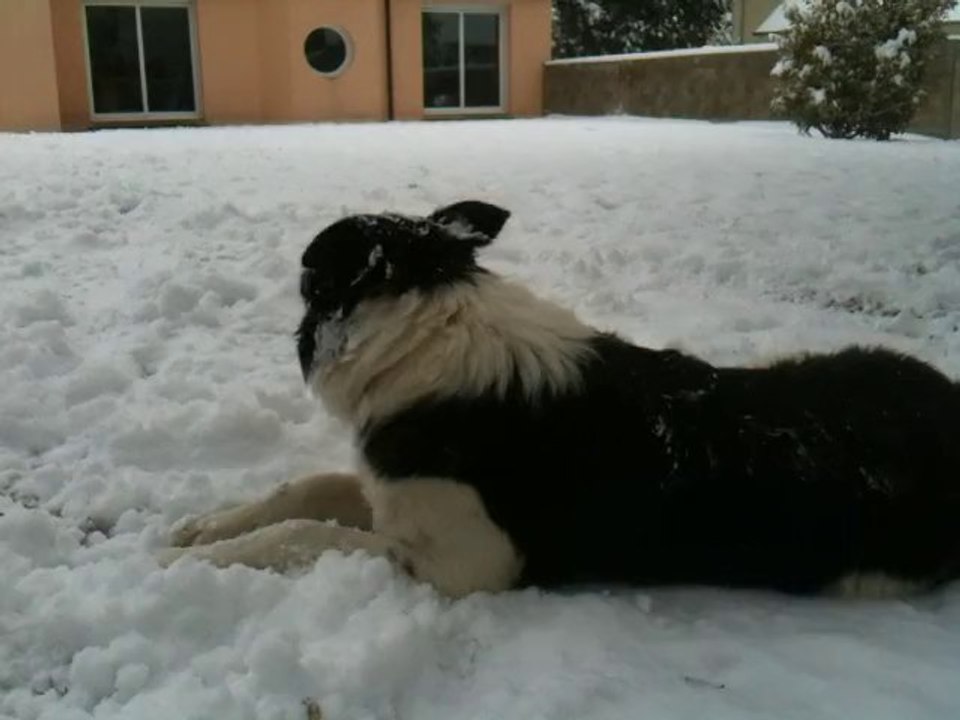 FX bain de neige