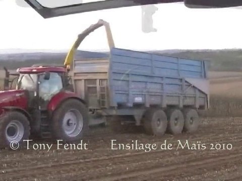 Ensilage de Maïs 2010. N°3 Tony