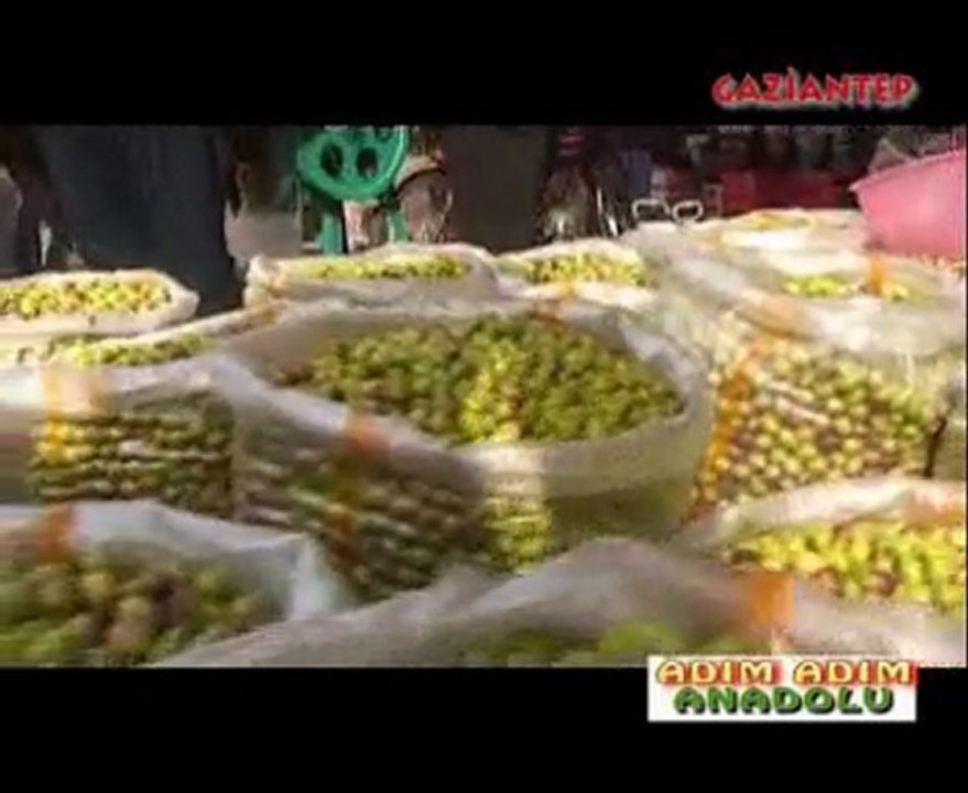 ADIM ADIM ANADOLU GAZİANTEP BÖLÜM 1.