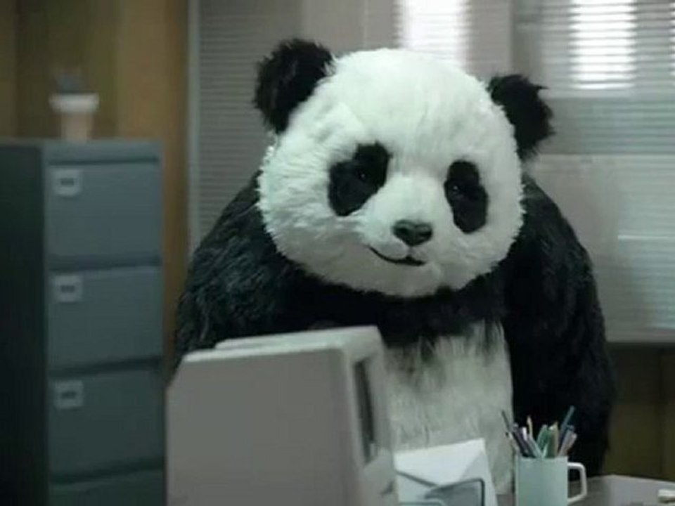 Asla Panda'ya Hayır Deme  (Never say no to Panda)