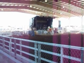 guadalupe county fair 2010