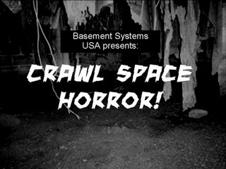 Crawl Space Horror in Delaware!