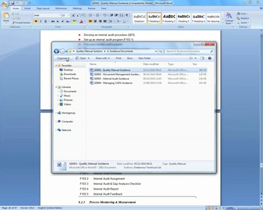 ISO 9001 Quality Manual Template demo