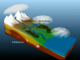 Deoditoo Une Denrée Rare