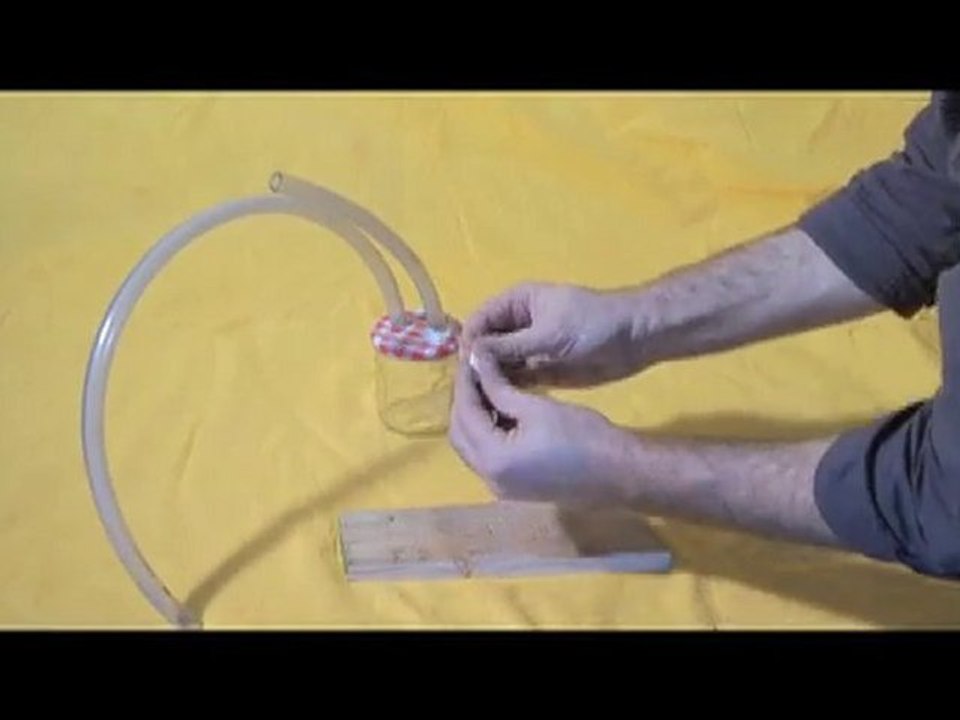 Aspirateur à bestioles