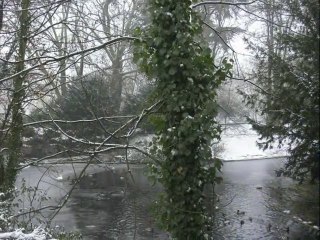 Douai - parc charles bertin - Décembre 2010 - photo