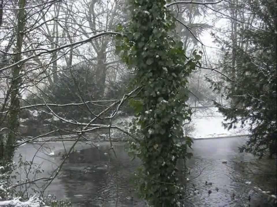 Douai - parc charles bertin - Décembre 2010 - photo