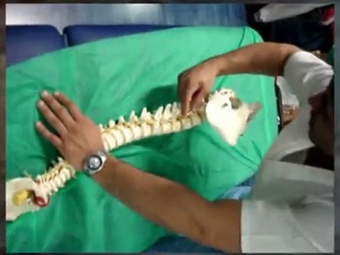 Cursos, Seminarios y Postgrados en Osteopatía - de Sanaspo