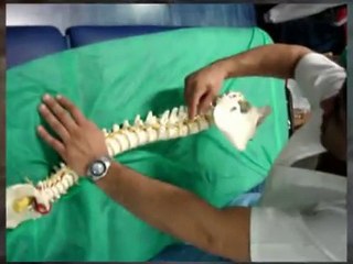 Cursos, Seminarios y Postgrados en Osteopatía -  de Sanaspo