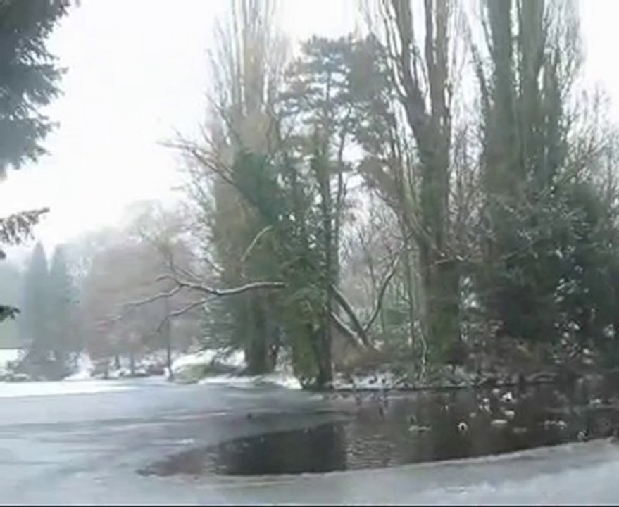Douai - parc charles bertin - Décembre 2010 - video