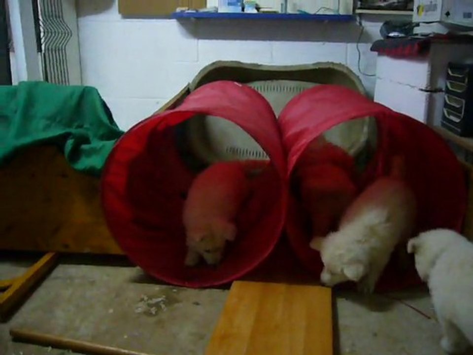 les bébés de Dakota et d'Albina