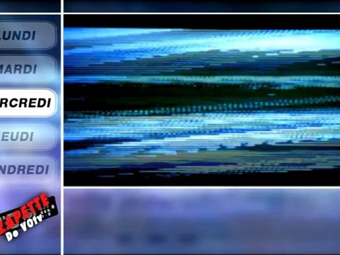 Zapette du 29 Novembre au 03 Decembre 2010