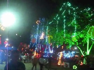 Navidad 2010 en el Parque Metropolitano de San Diego