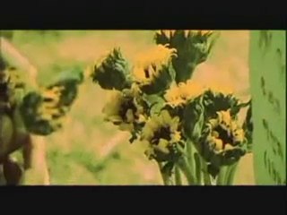 So ji sub _amp; Lee yeon hee in ad movie (part 3 )eng sub