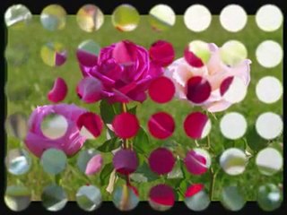 Sevipte Pişman Olanlar SeSLiBeLiNaY.CoM SeSLiYoLCu.CoM