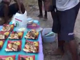 le repas sur l'île sauvage