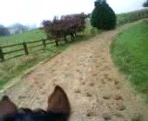 Petit galop du dimanche matin... midi...