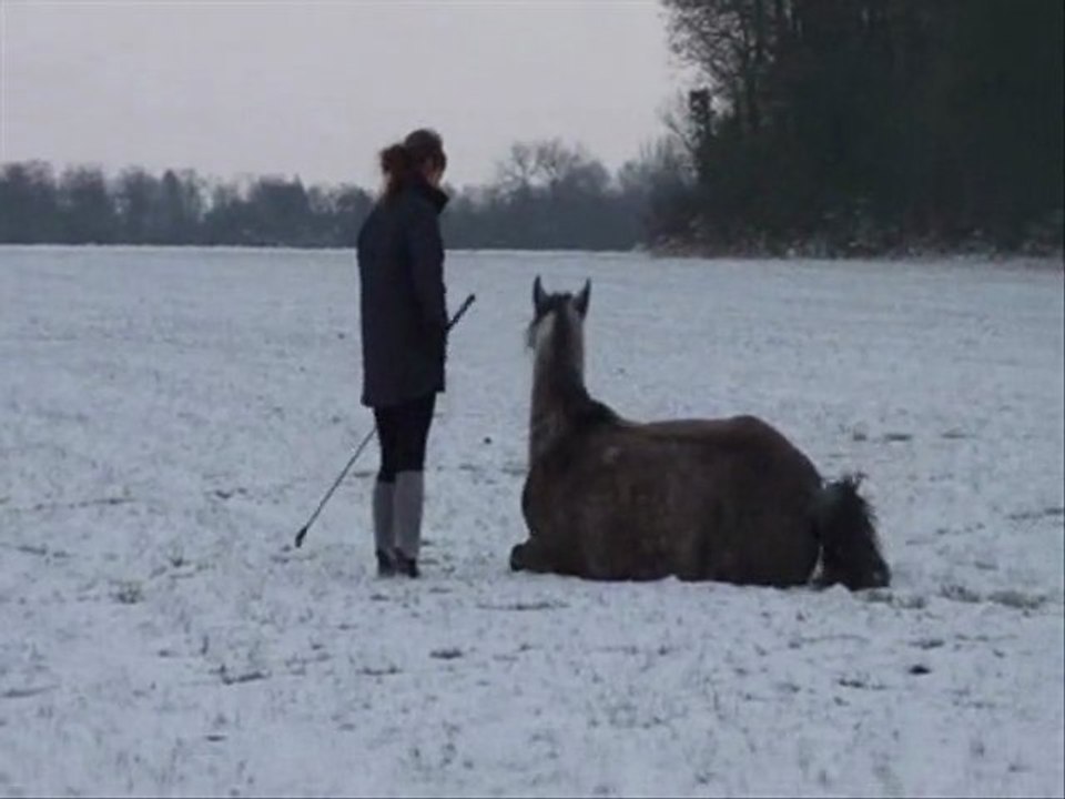 Ramsès Neige En Liberté ~ décembre 2010