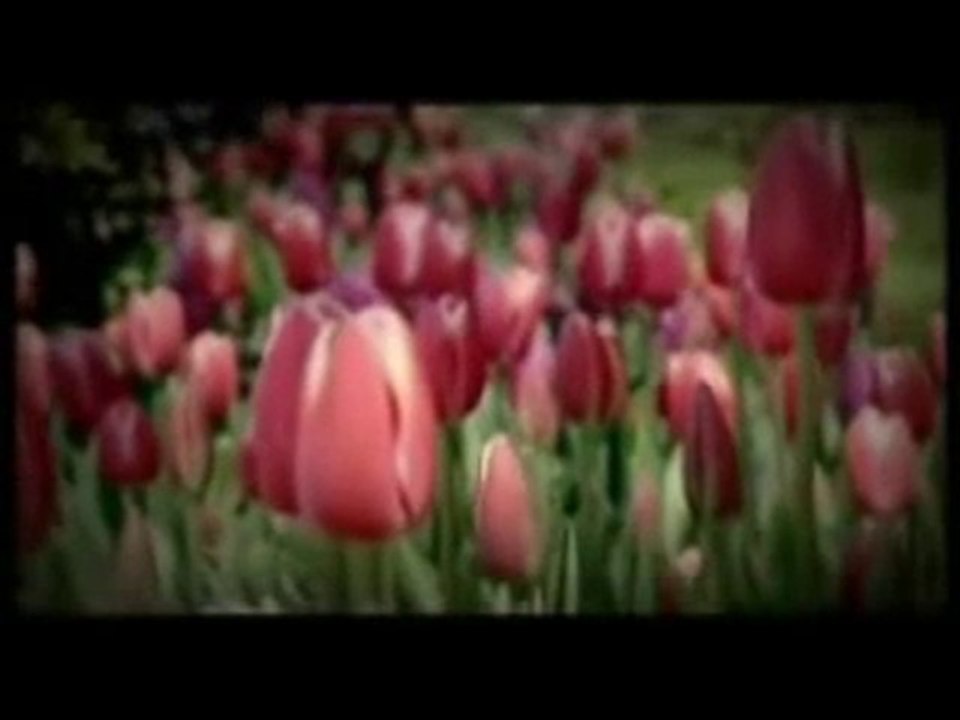 Salavat Klibi WwW.İslammenzili.CoM