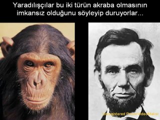 Evrim Teorisi -2- Zaman Kavramı ve Büyük Sayılar