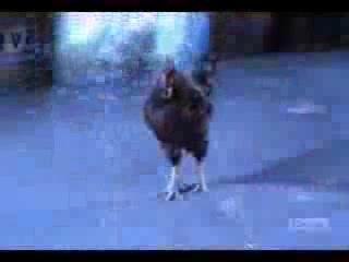 Piper qui parle français