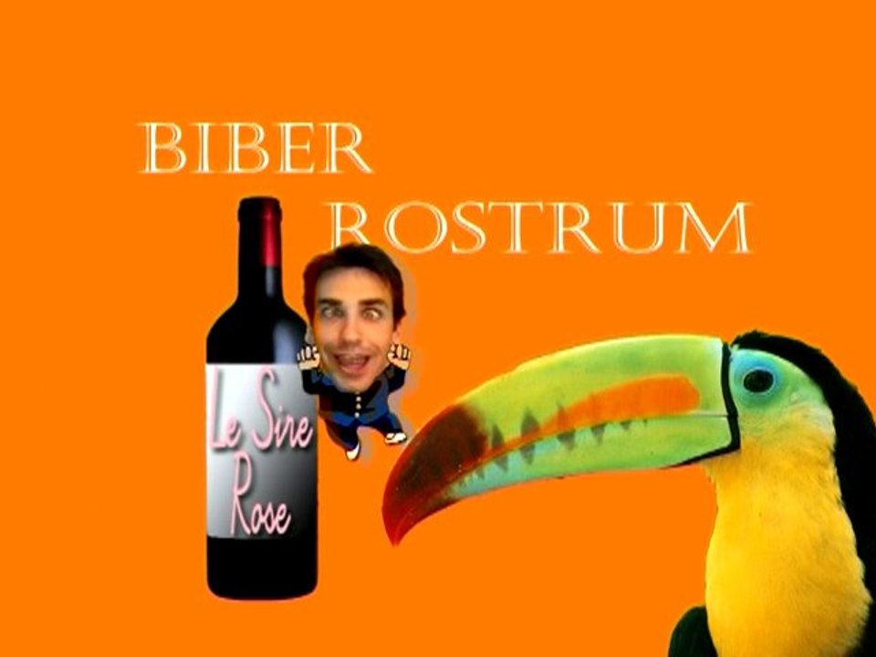Biberine