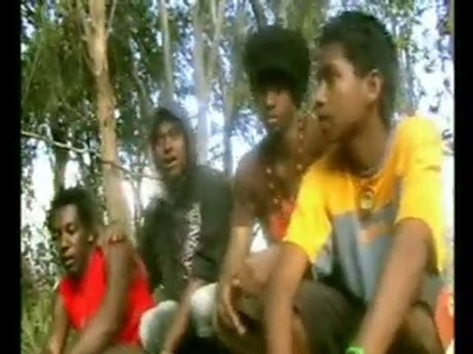 Amazone Evolution asiava fandiniagna