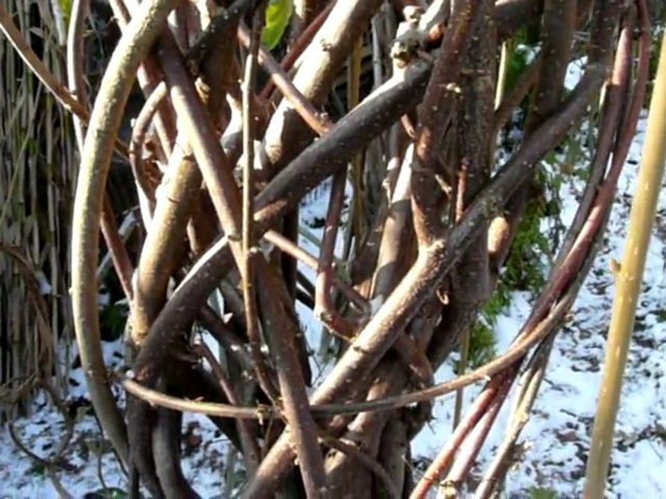 Sculptures-Vivantes en Métamorphoses-Automnales-neigeuses