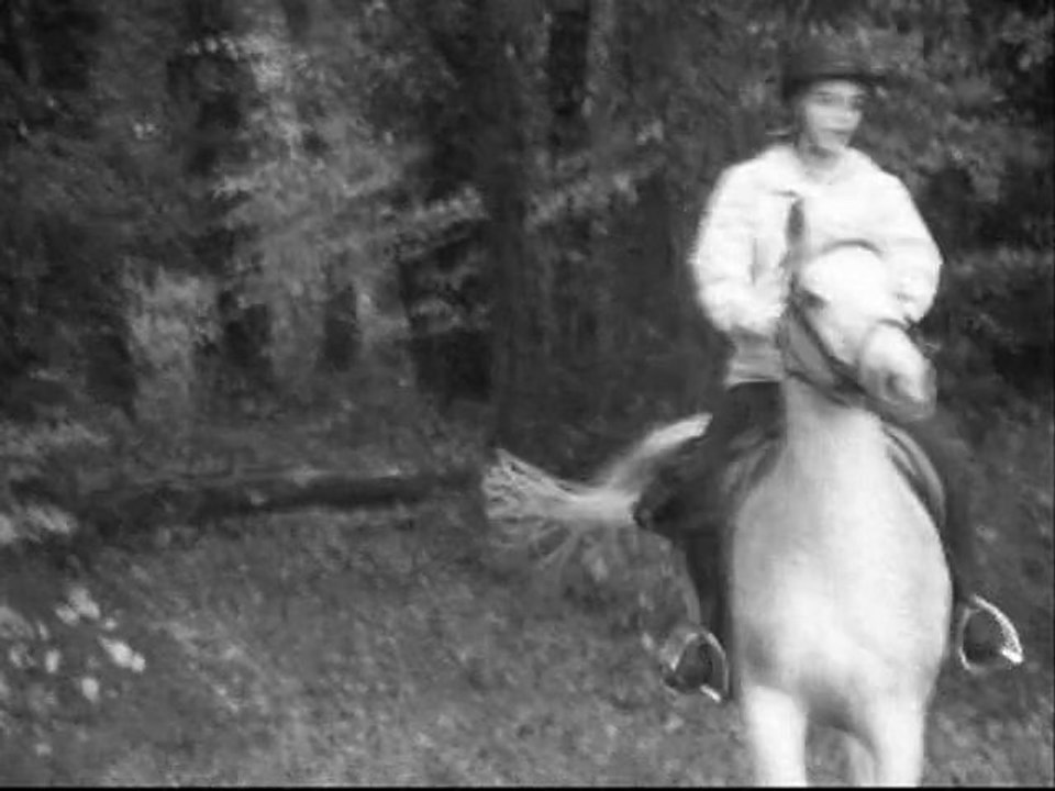 Un peu de nous, un peu de tout