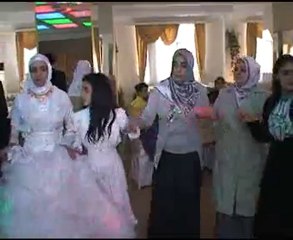 Funda ve Birkan' ın Düğünü, Ardahan Yollarında