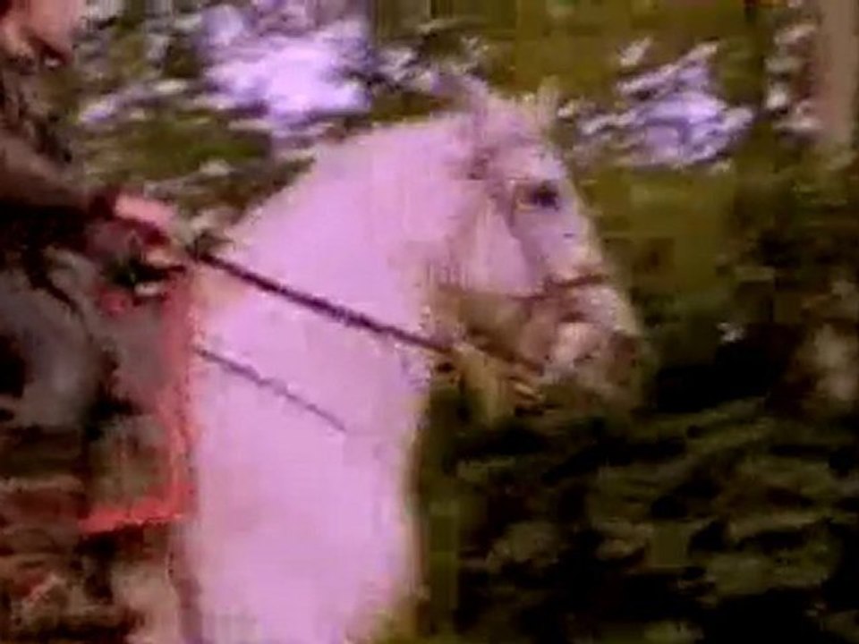 Enya - The Celts HD