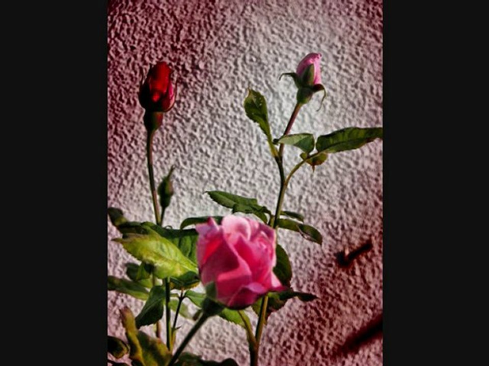 Annem