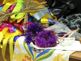 Экологичную елку презентовали в Киеве