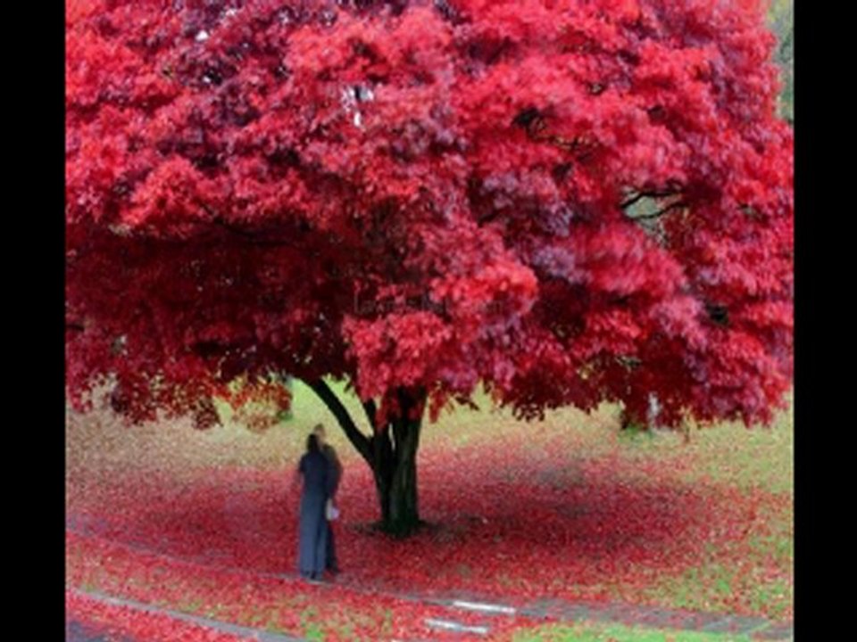 Teoman - Senden Önce Senden Sonra