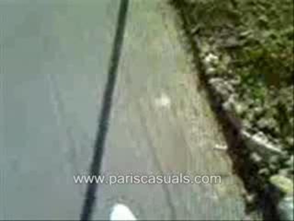 psgom2006b