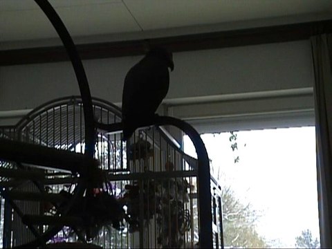 Atchoum à tes souhaits