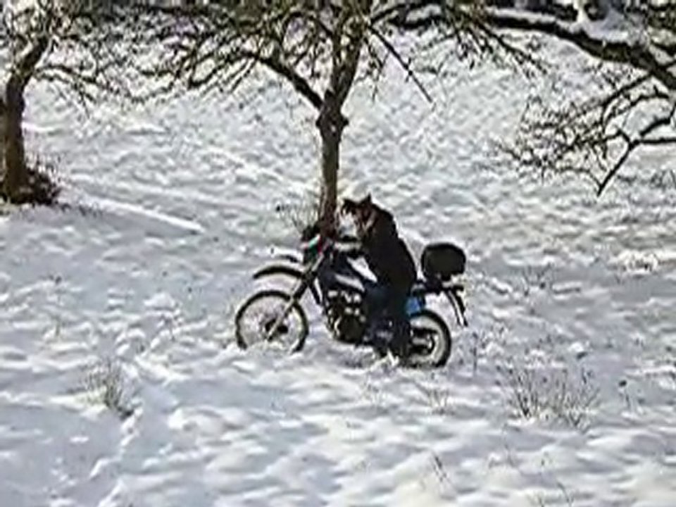 P1010008